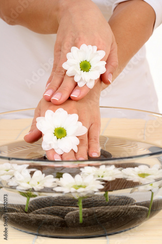 beautiful female hands and bowl of pure water with daisy