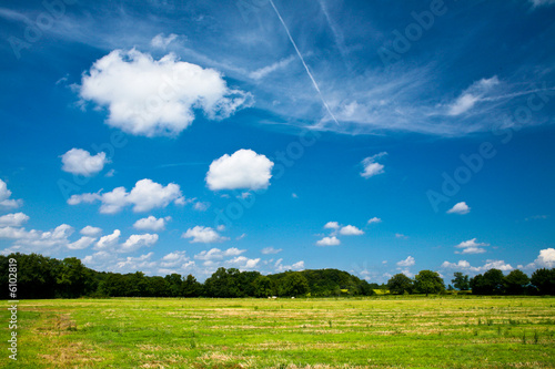 Paysage de campagne avec prairie et foret sur ciel bleu © Calzada