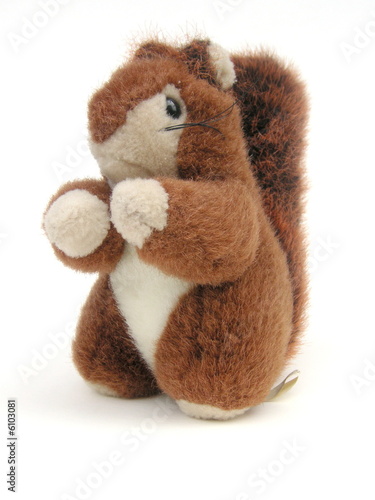 red squirrel