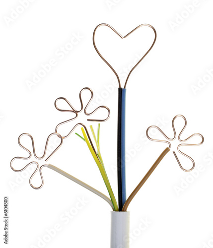 Valentine for the electrician