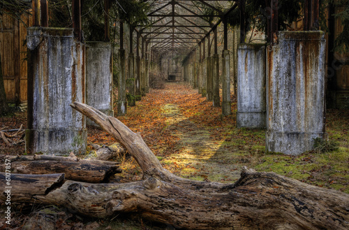 Fototapeta kuchenna Palisadengang