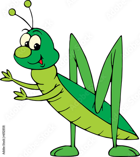 Grasshopper