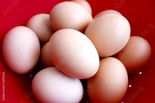 fresh eggs in a colinder ready for washing