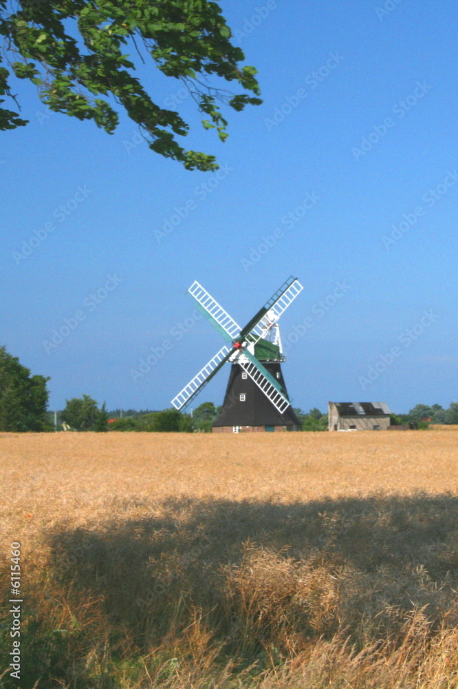 Fototapeta premium Windmühle