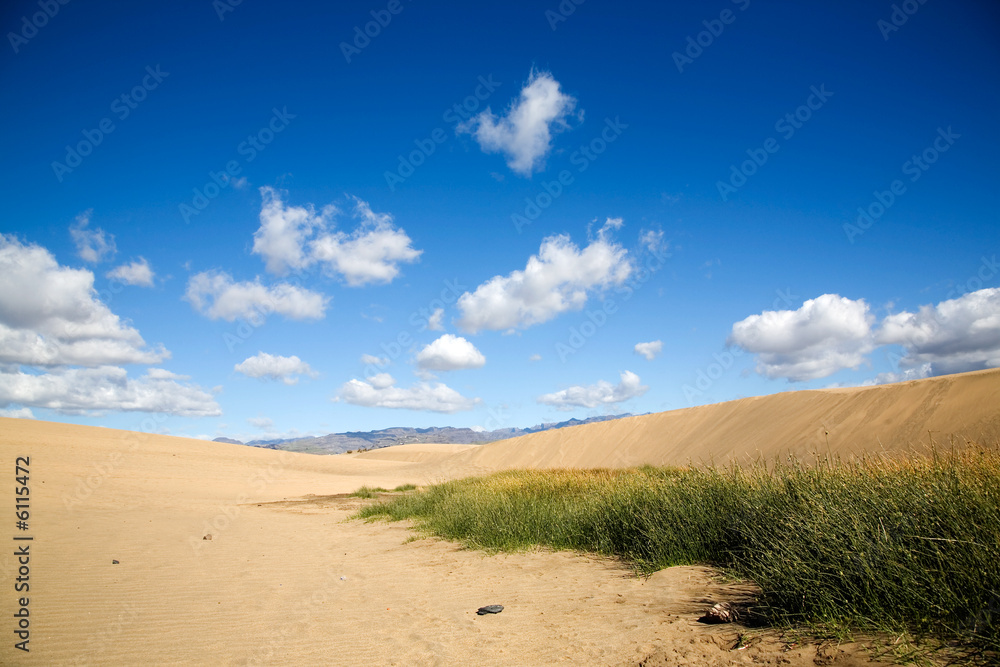 Maspalomas sand dunes in Gran Canaria, Spain