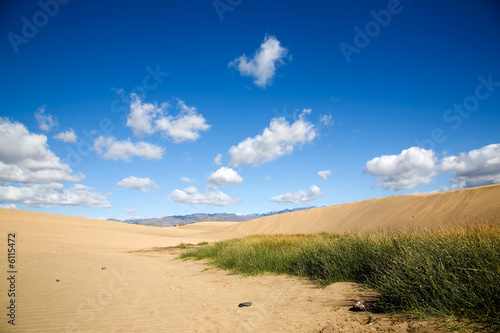 Maspalomas sand dunes in Gran Canaria  Spain