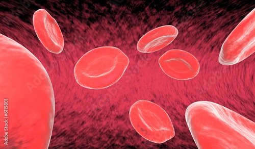 8 red blood cells (erythrocytes) floating by in artery.