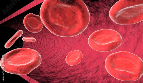 9 red blood cells (erythrocytes) floating by in artery.