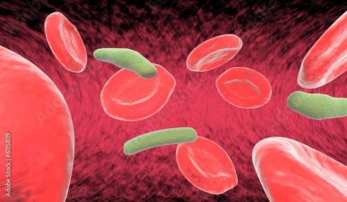8 red blood cells and 3 bacteria floating by in artery.