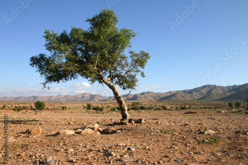 Anti Atlas / Marokko 2006