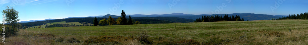 Nice landscape with forest,  hills and meadows - panorama