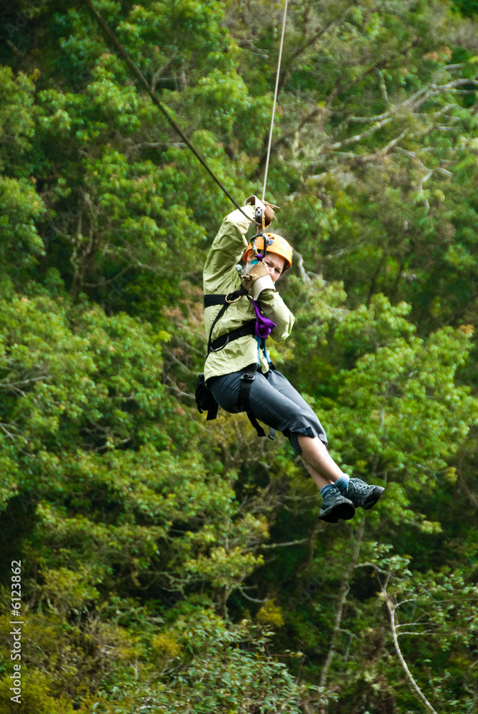 Obraz premium Canopy Tour