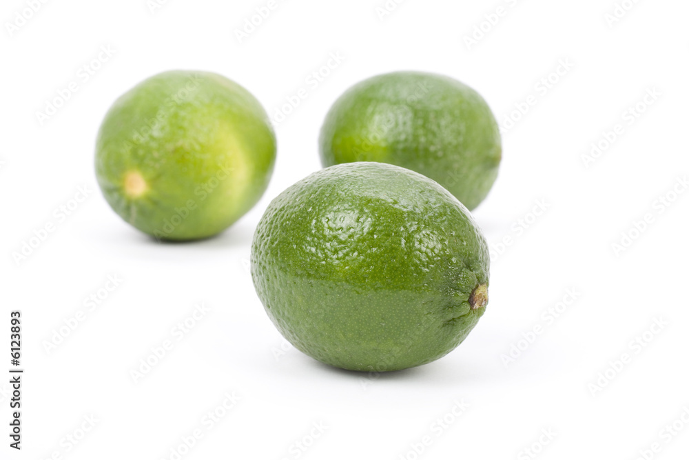 green Lime with white background green Lime with white background