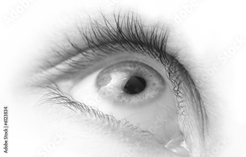 Eye Close-Up High Key