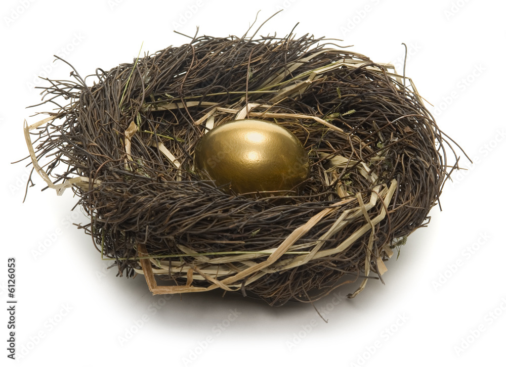Golden egg inside a nest on white background Golden egg inside a nest on white background