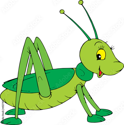 Grasshopper