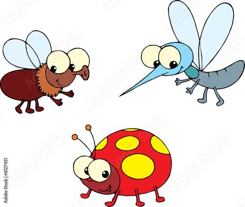 Ladybug, fly and mosquito 