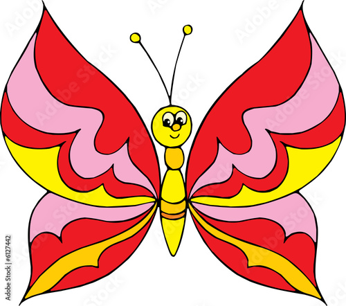 Butterfly