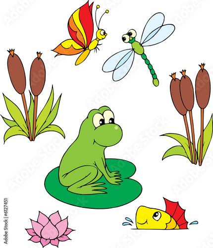 Pond