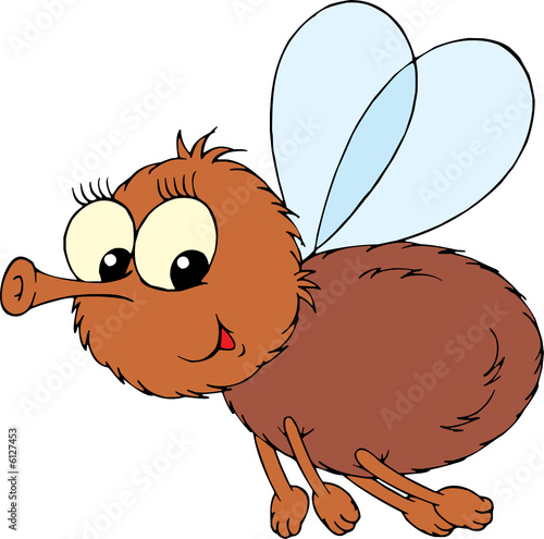 Fly