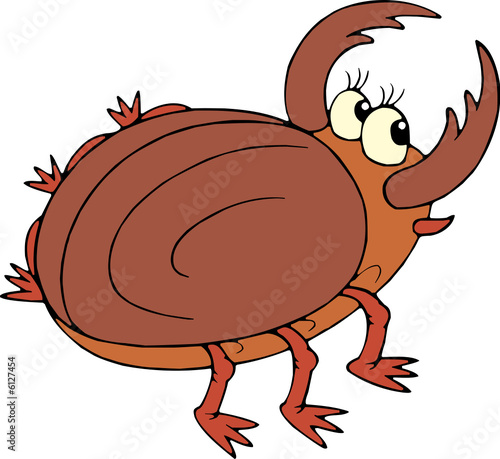 Beetle