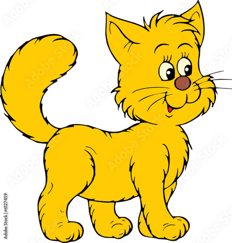 Kitten