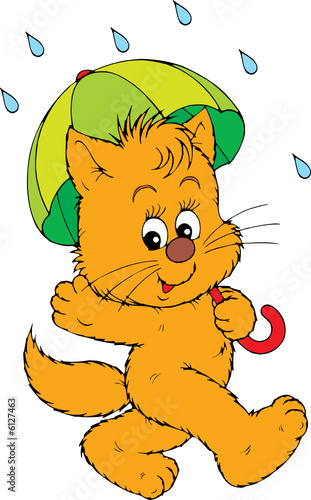 Kitten