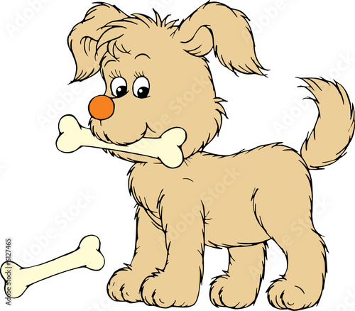 Puppy