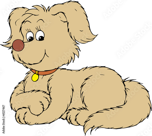 Dog