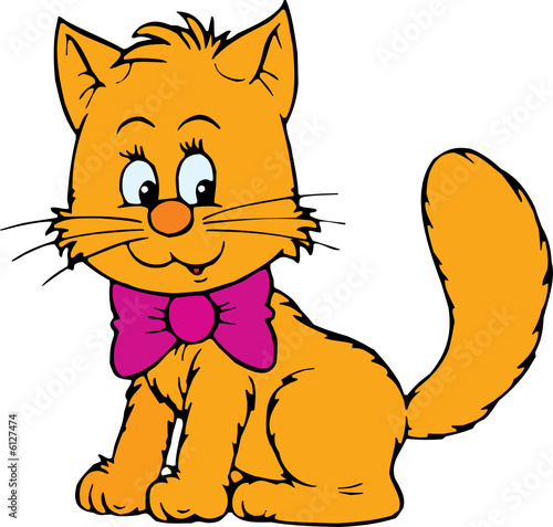 Kitten