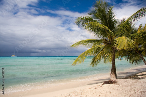 Beautiful tropical beach  Saona island  Dominican Republic.