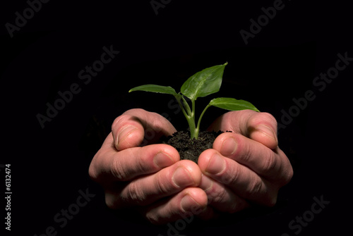  plant between hands 