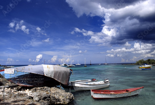 caribbean sea photo