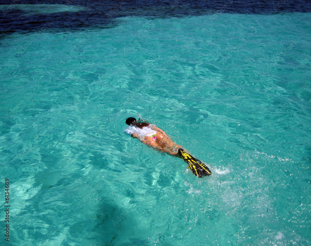 Female Snorkeler Swimming to Reefs in the Caribbean