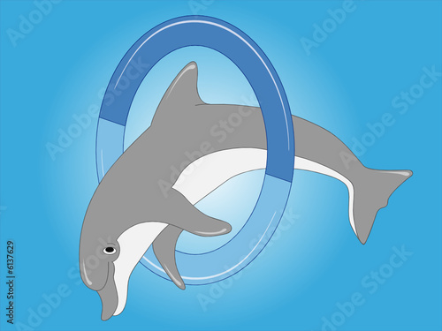 Delfin springt durch den Ring