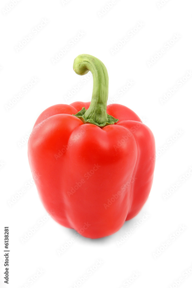 Paprika2 Paprika2