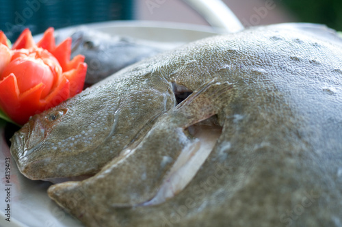 fresh turbot with vegetables ready to cook, focus on eye