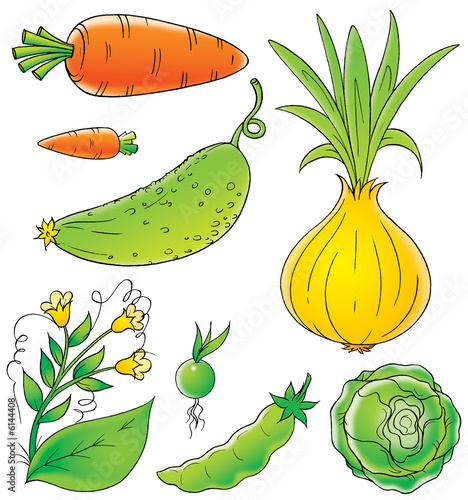 Vegetables