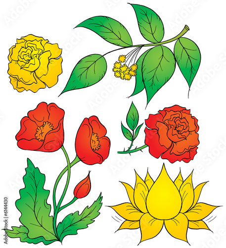 flowers