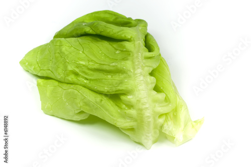 Isolated detail of leaf green lettuce