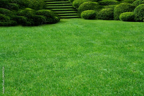 lawn and garden