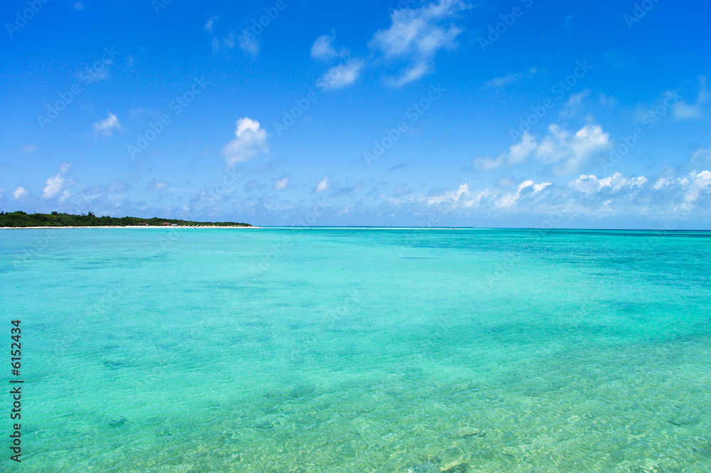 Transparent waters