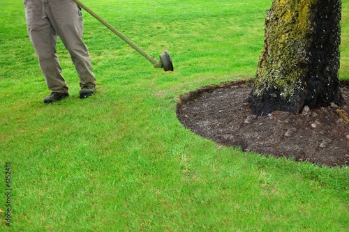 line trimmer