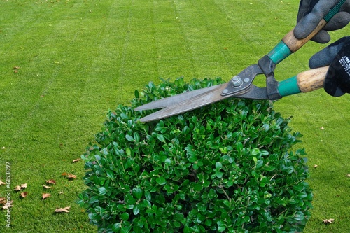 gardening