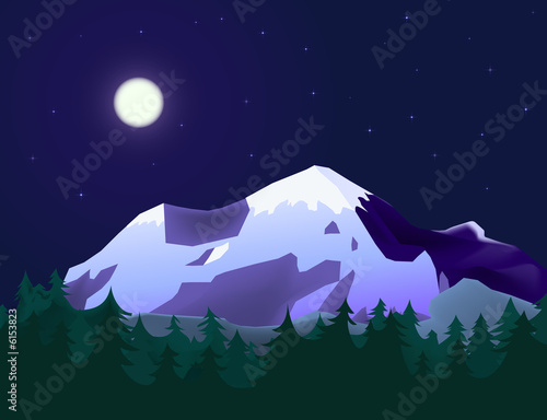 mountain landscape with fir...