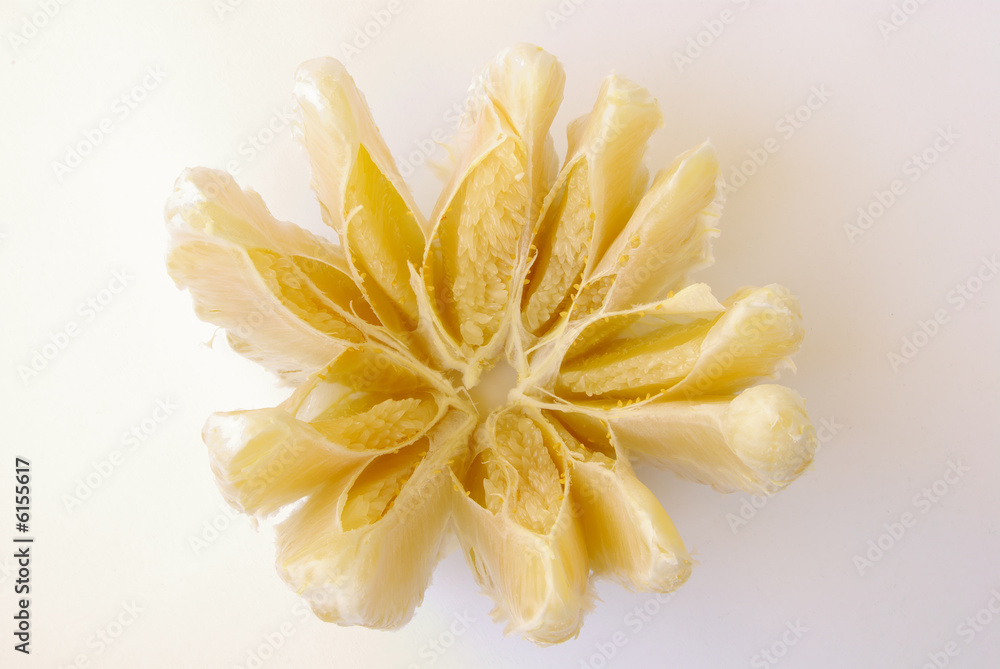 Pomelo 05 Pomelo 05