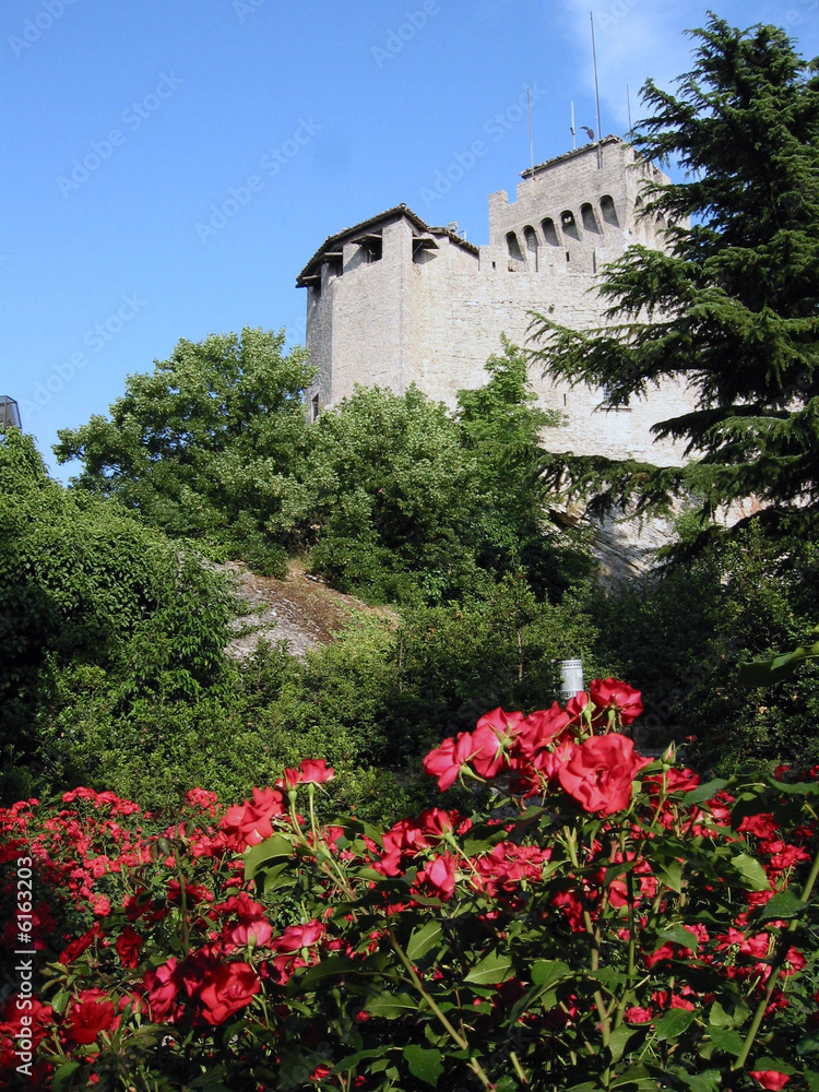 Obraz premium Il castello tra i fiori