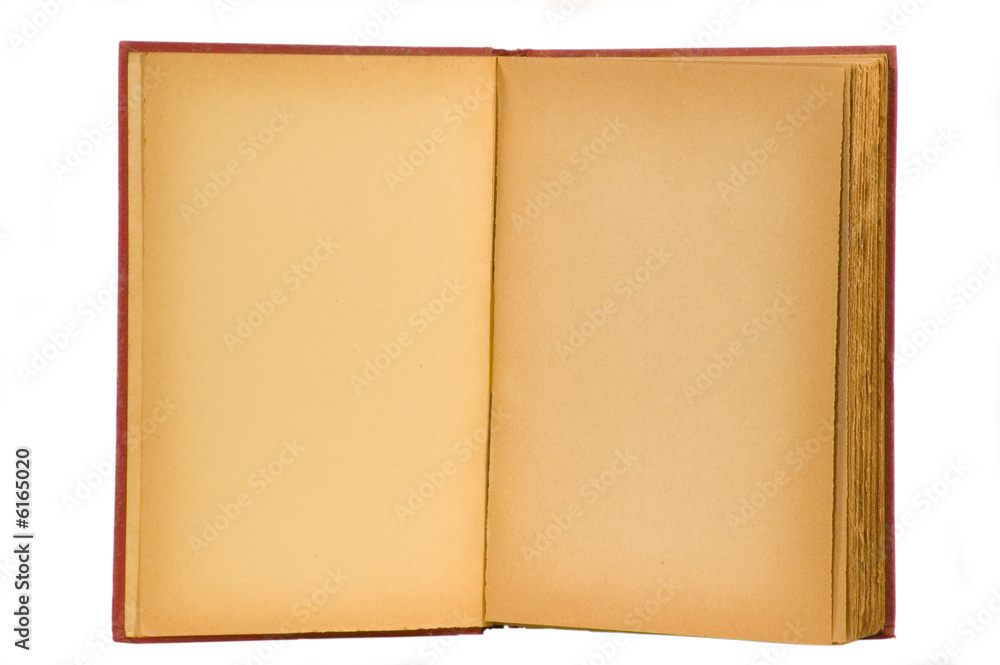Yellowed and aged blank pages 