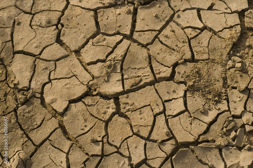 Detail of dried soil with cracked surface