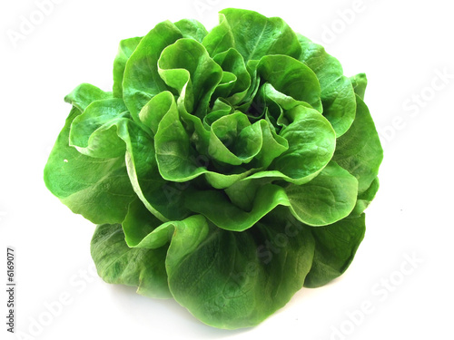 lettuce